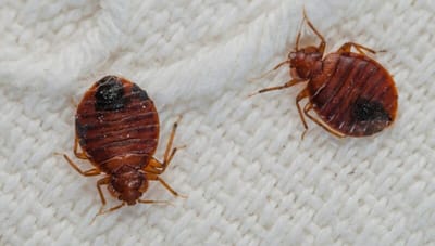 Qui sommes-nous? image