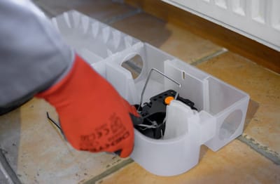 Notre démarche qualité image