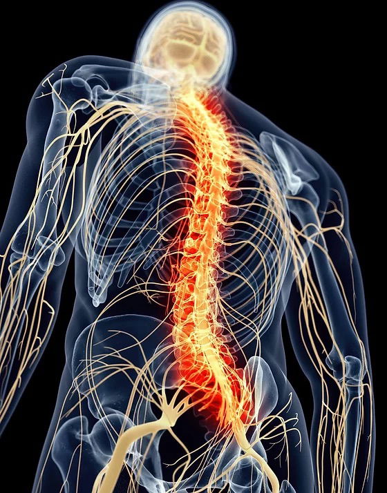 Augmenter l'énergie