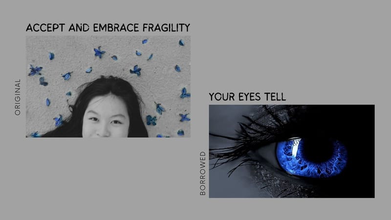 Fashion campaign: Uncover,Discover,Recover