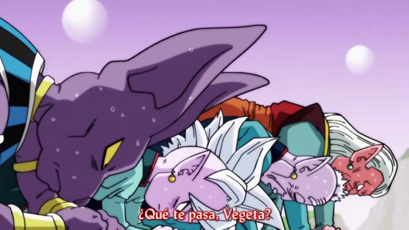 EP 77: "¡VAMOS A HACERLO ZENO-SAMA! ¡EL MEJOR TORNEO DE ARTES MARCIALES!"