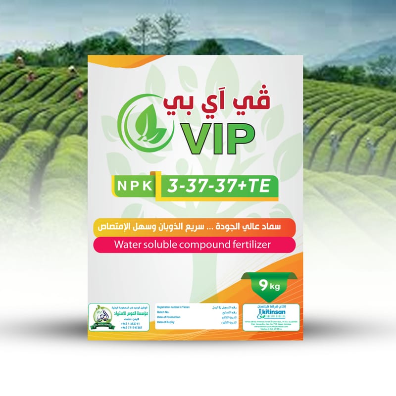 في آي بي - VIP