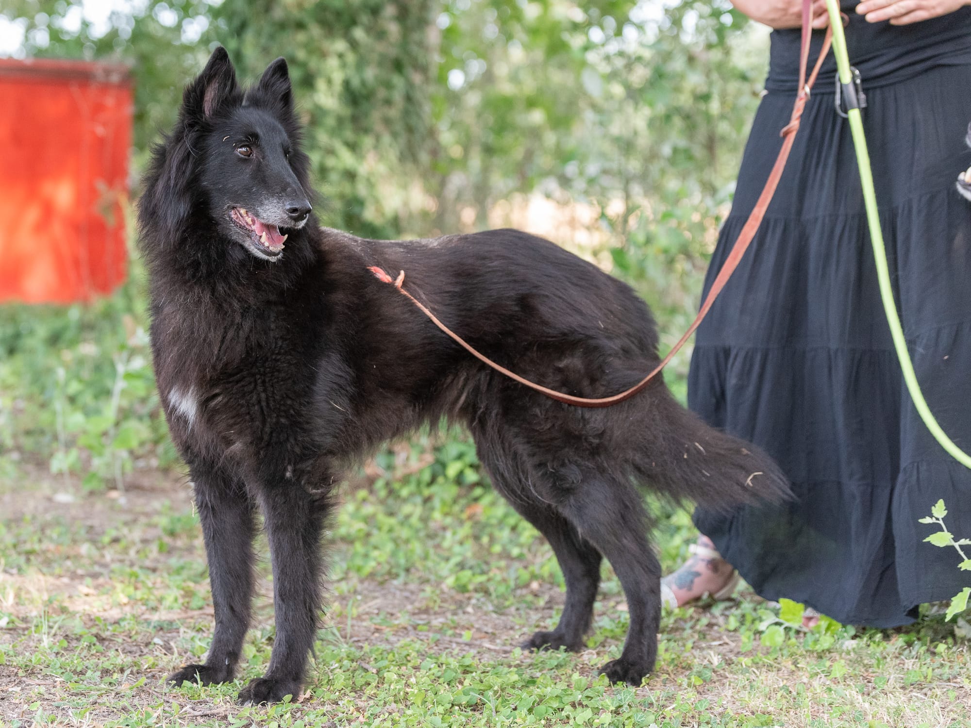 ETNA CLEVER CANIN
