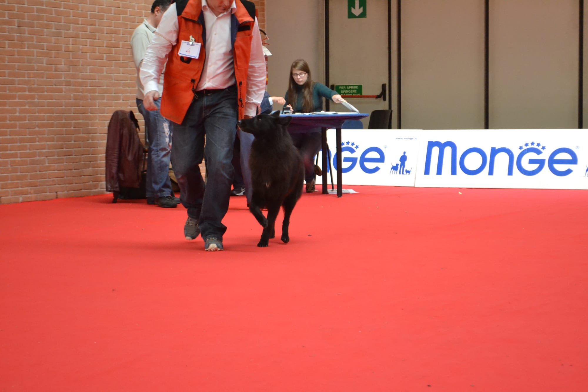 ETNA CLEVER CANIN
