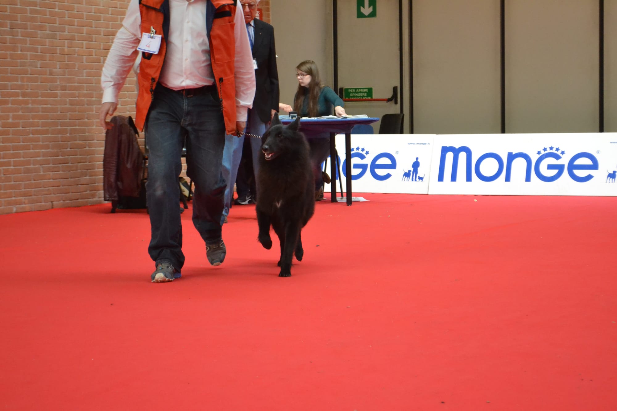 ETNA CLEVER CANIN