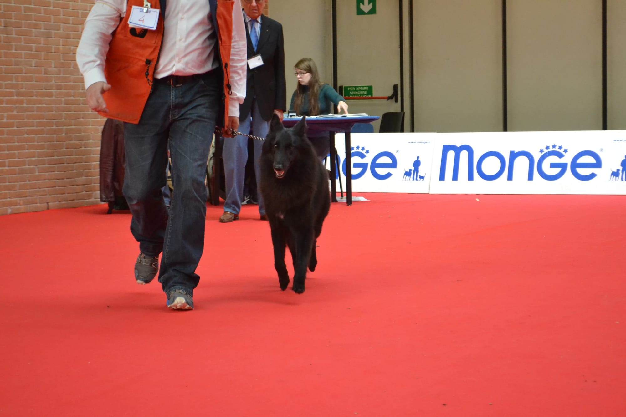 ETNA CLEVER CANIN