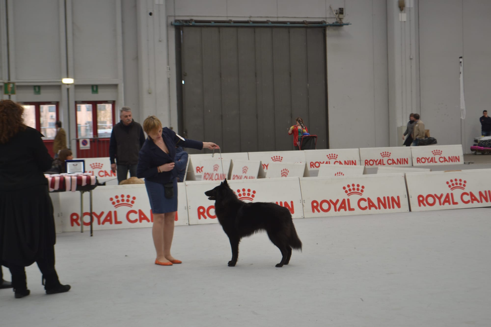 ETNA CLEVER CANIN