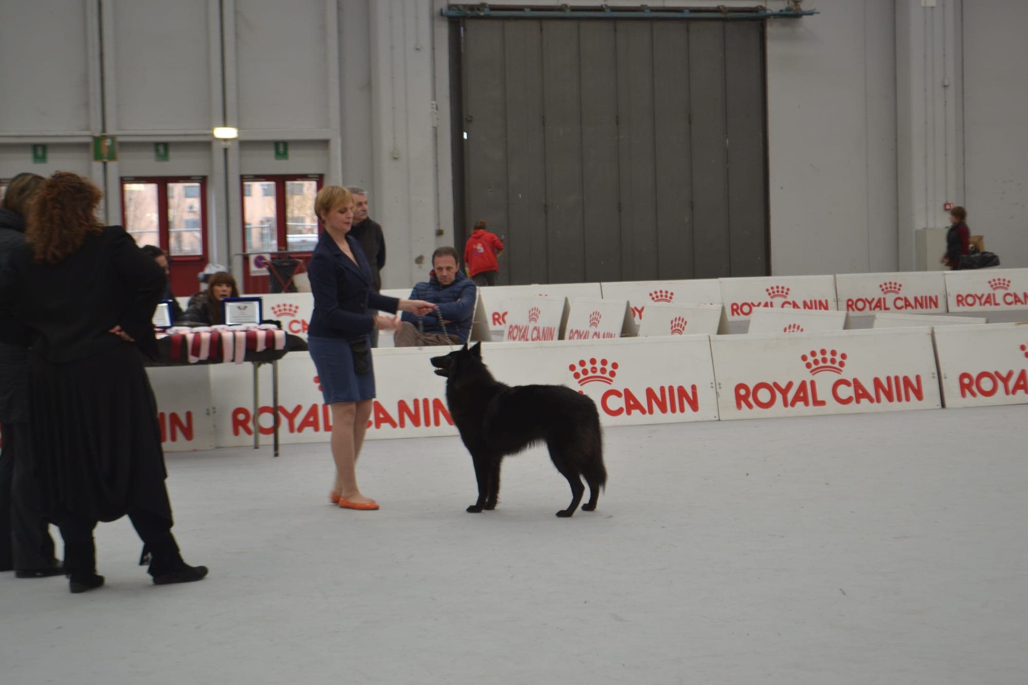 ETNA CLEVER CANIN