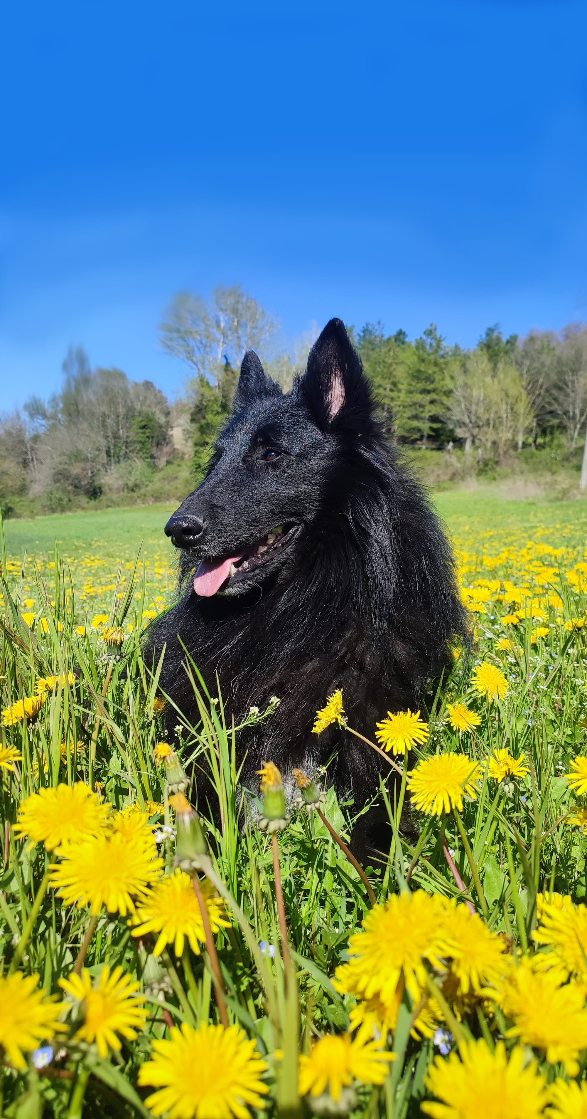 MARE NUBIUM del Sentiero dei Sogni