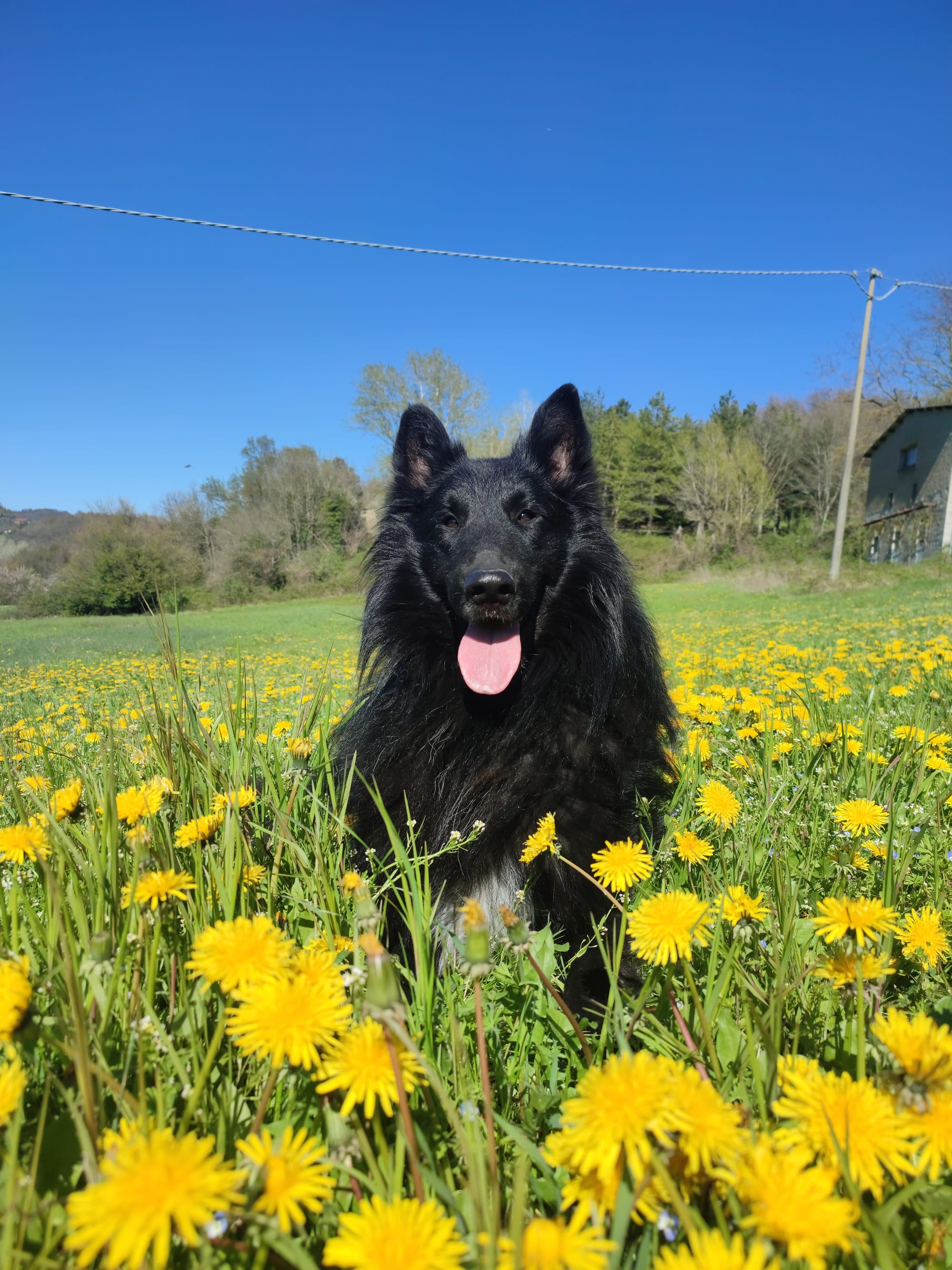 MARE NUBIUM del Sentiero dei Sogni