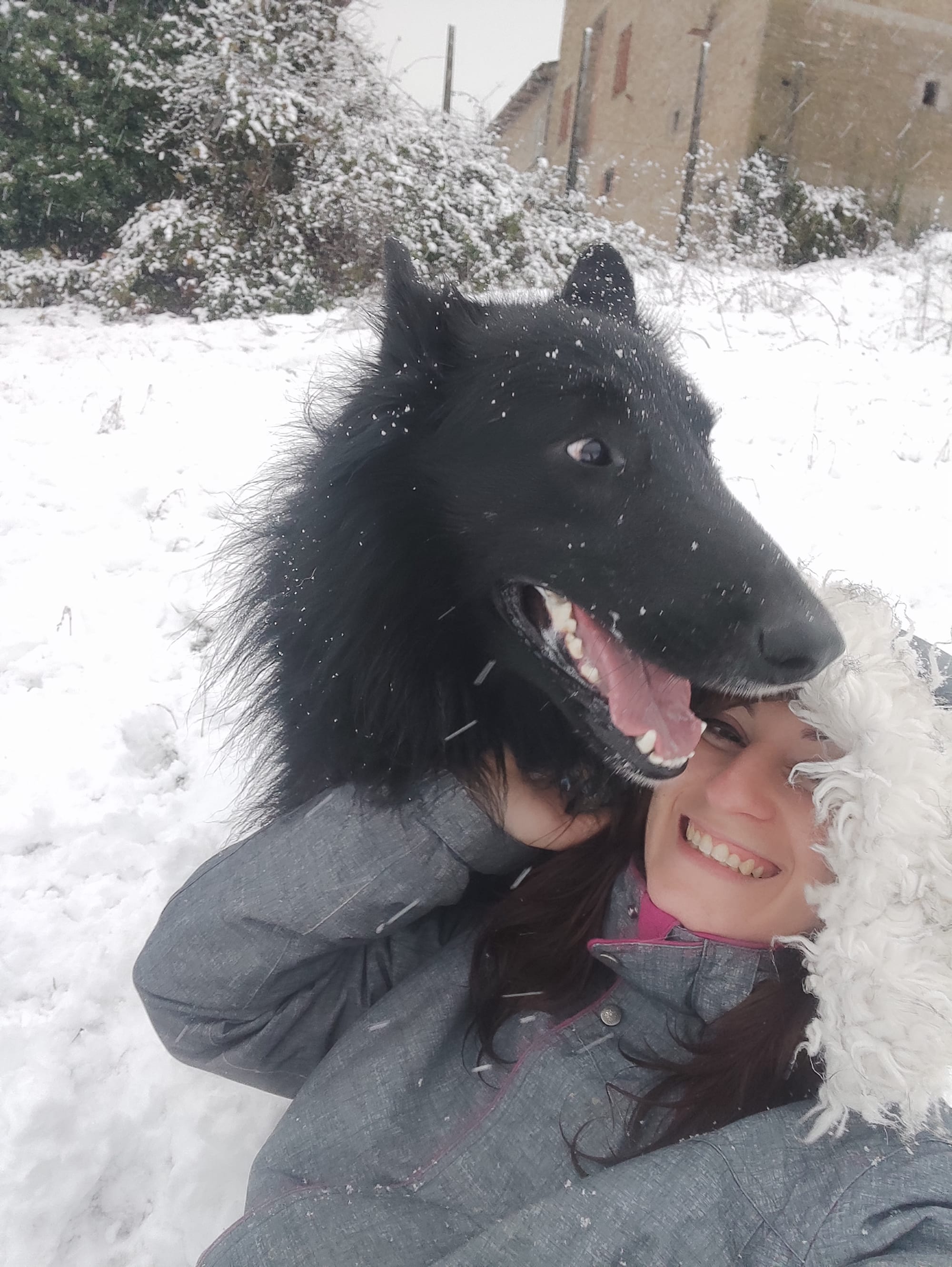 MARE NUBIUM del Sentiero dei Sogni