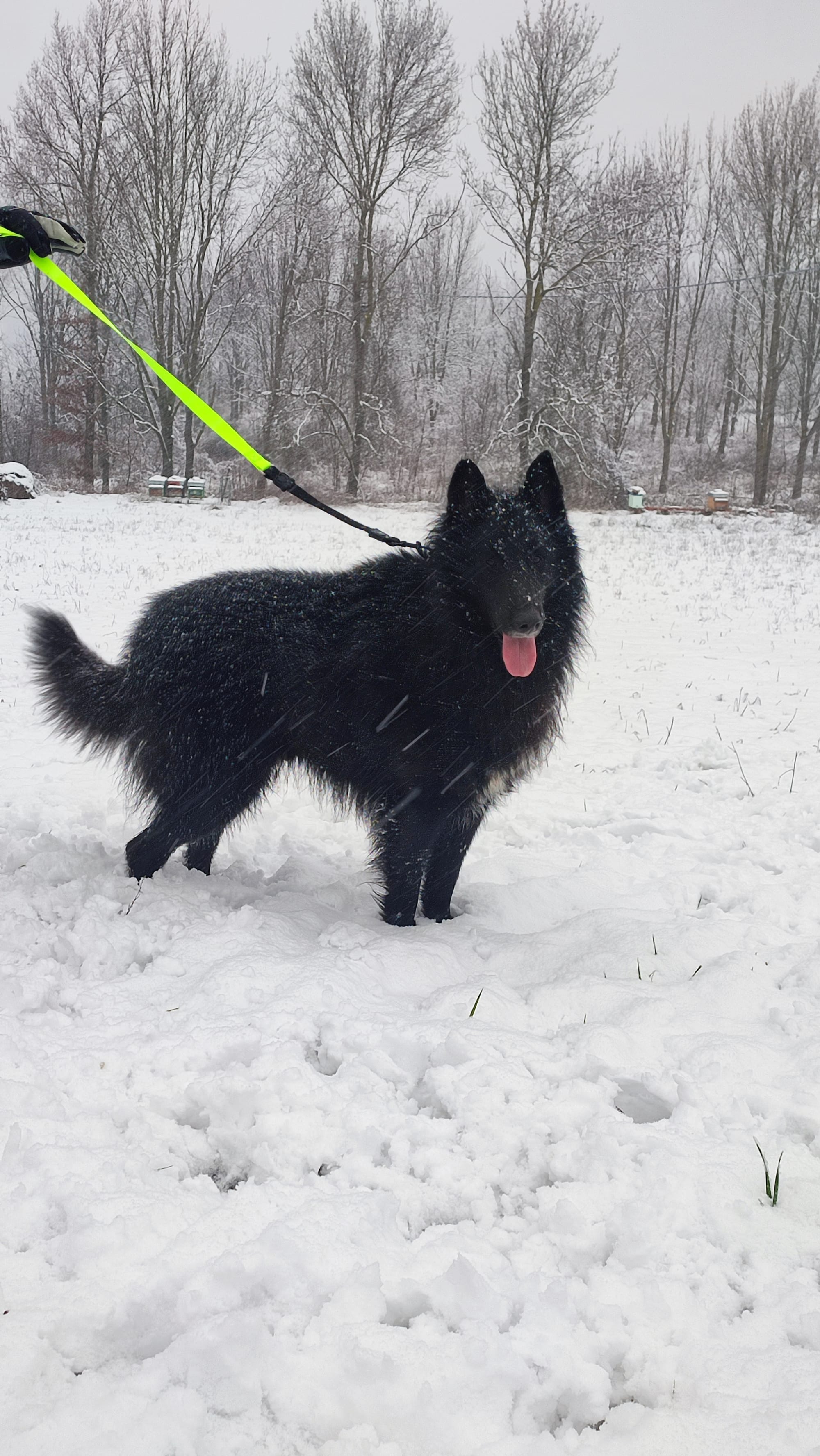 MARE NUBIUM del Sentiero dei Sogni