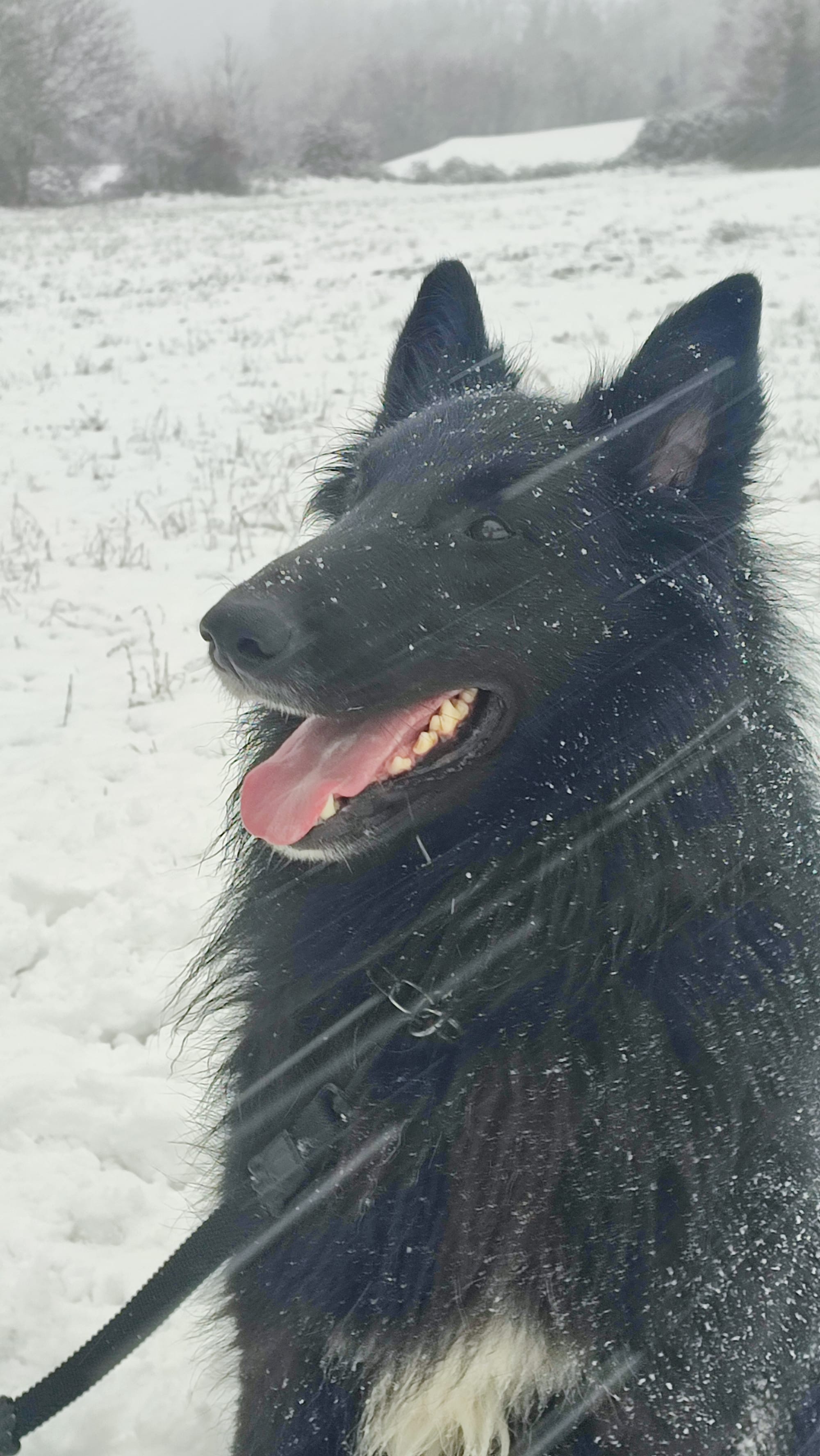 MARE NUBIUM del Sentiero dei Sogni