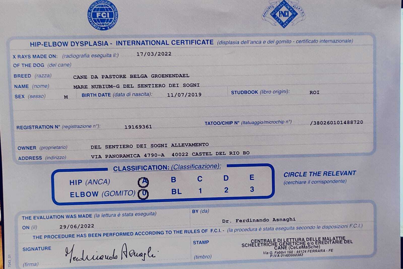 MARE NUBIUM del Sentiero dei Sogni