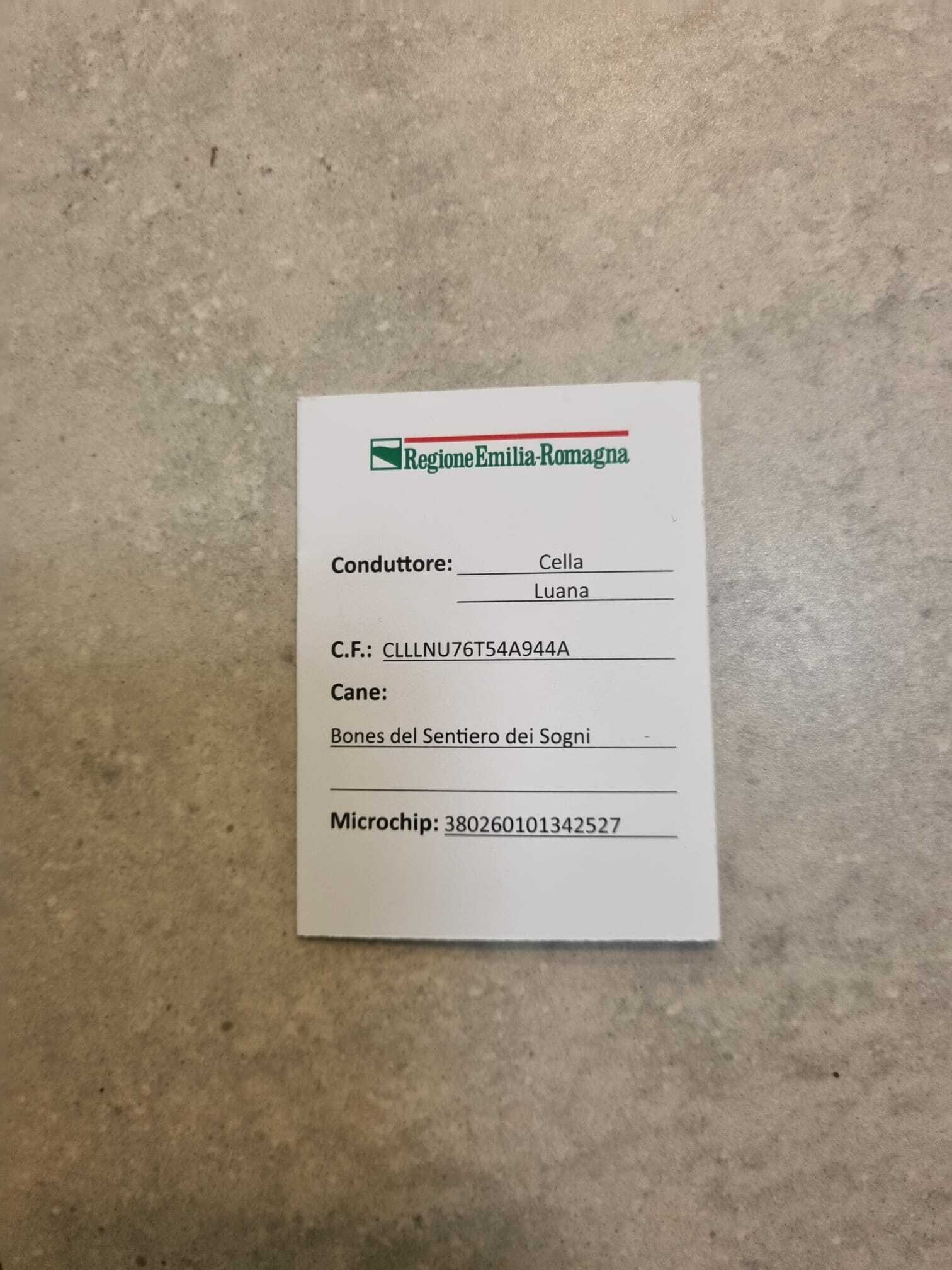 Bones del Sentiero dei Sogni