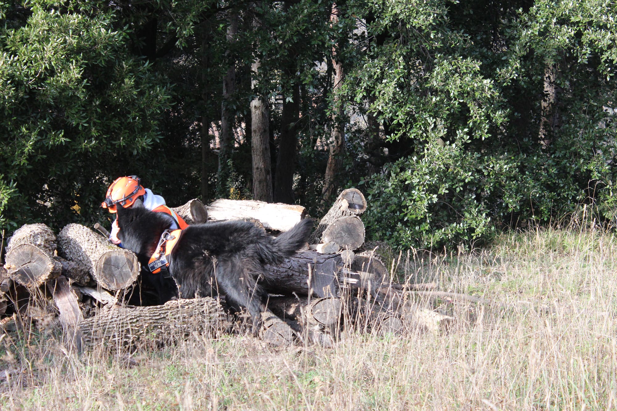 Mare Nubium del Sentiero dei Sogni