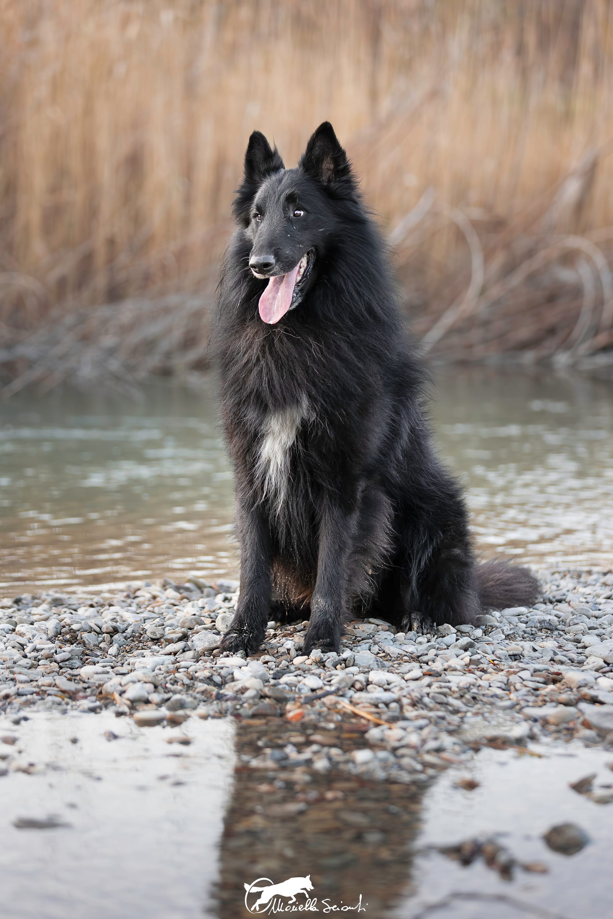 MARE NUBIUM del Sentiero dei Sogni