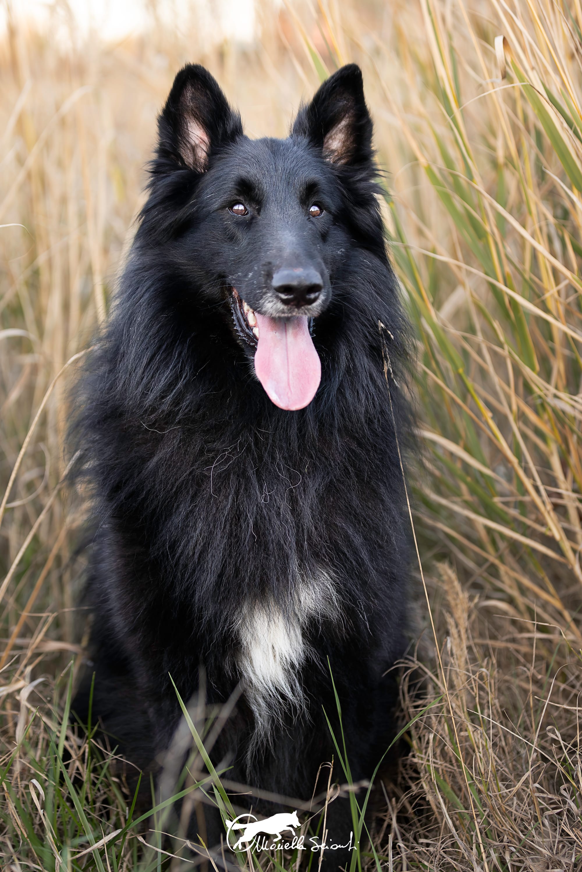 MARE NUBIUM del Sentiero dei Sogni