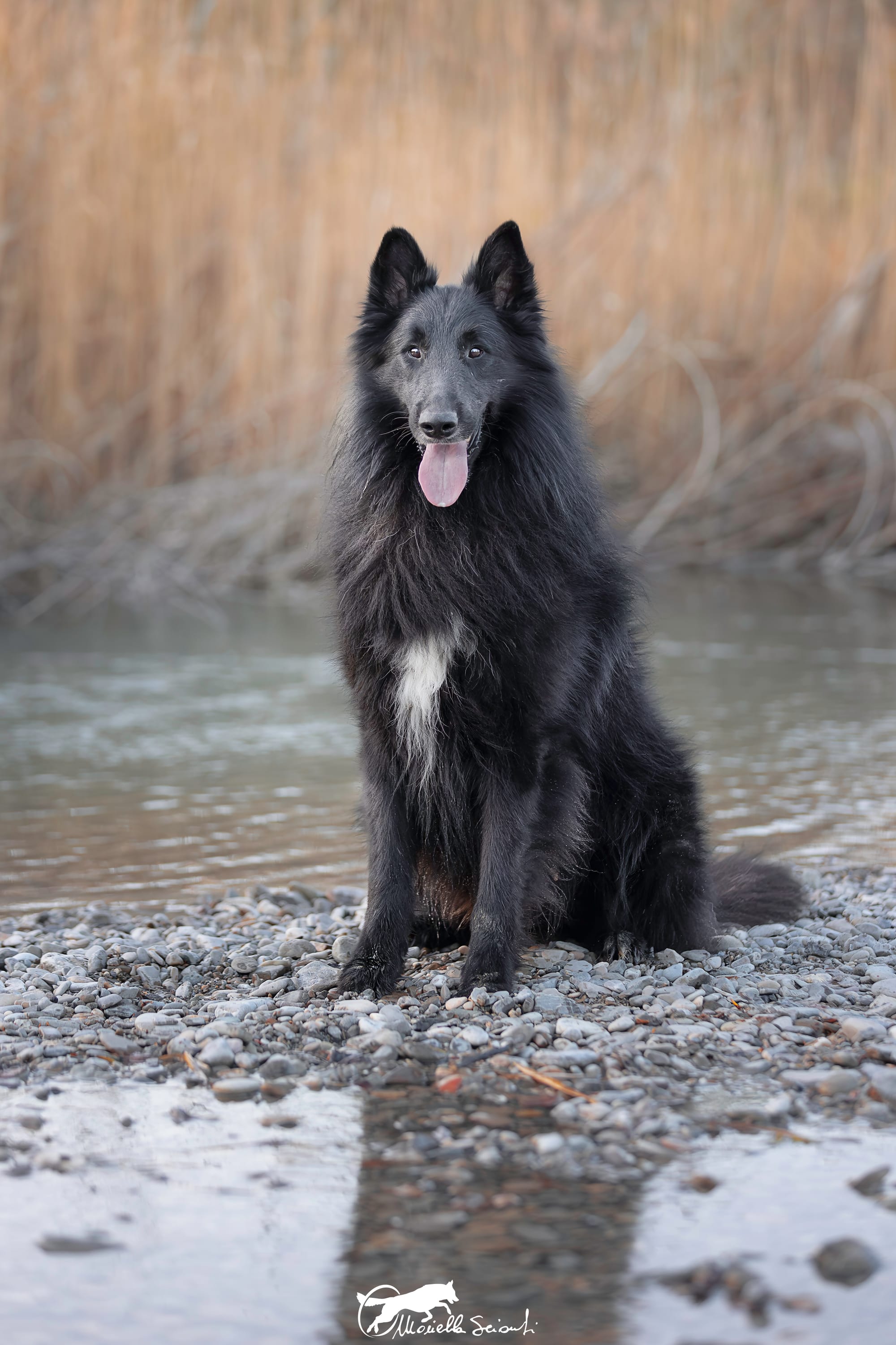 MARE NUBIUM del Sentiero dei Sogni