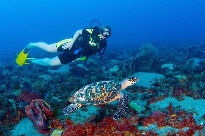 Snorkeling