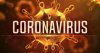 What are our act during to the virus