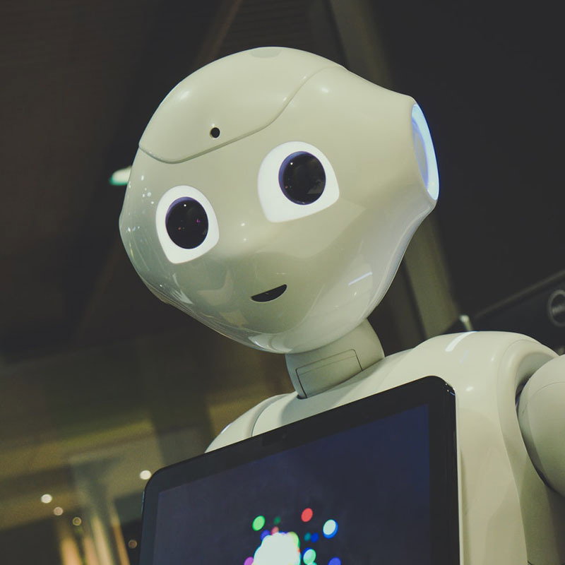 🤖 Chat Bot 🤖