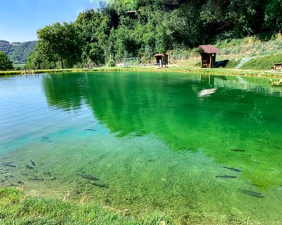 Site mis à jour janvier 2023 image