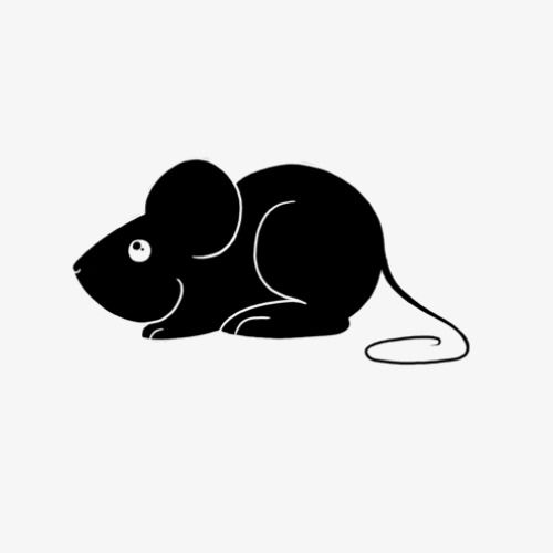 مكافحة الفئران