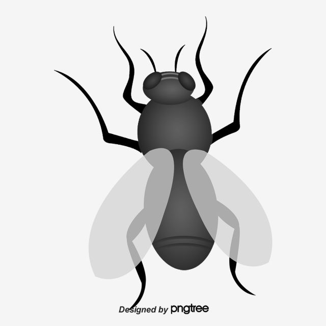 مكافحة الذباب والحشرات الطائرة