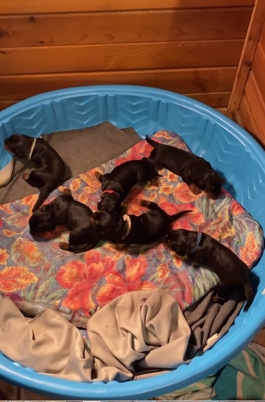 Walking like "Drukin' Sailors!"