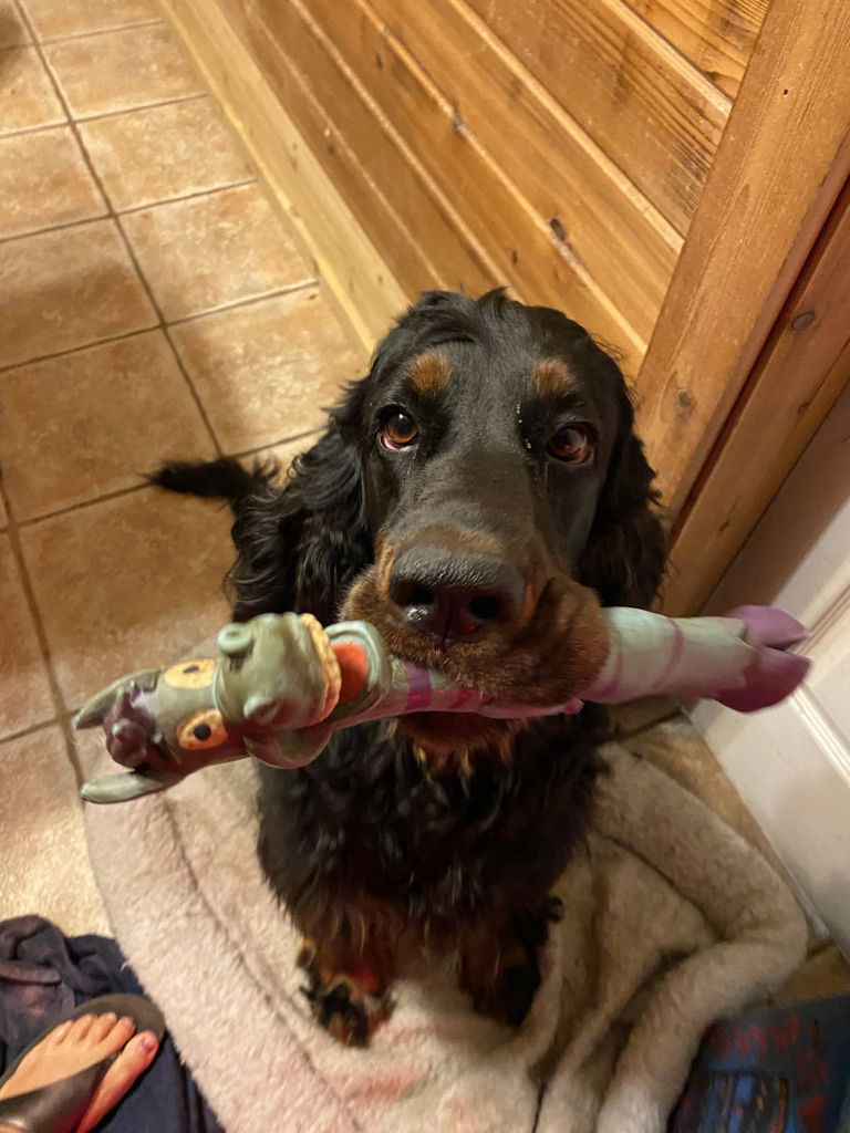 Week 2-3 on the move and getting playful