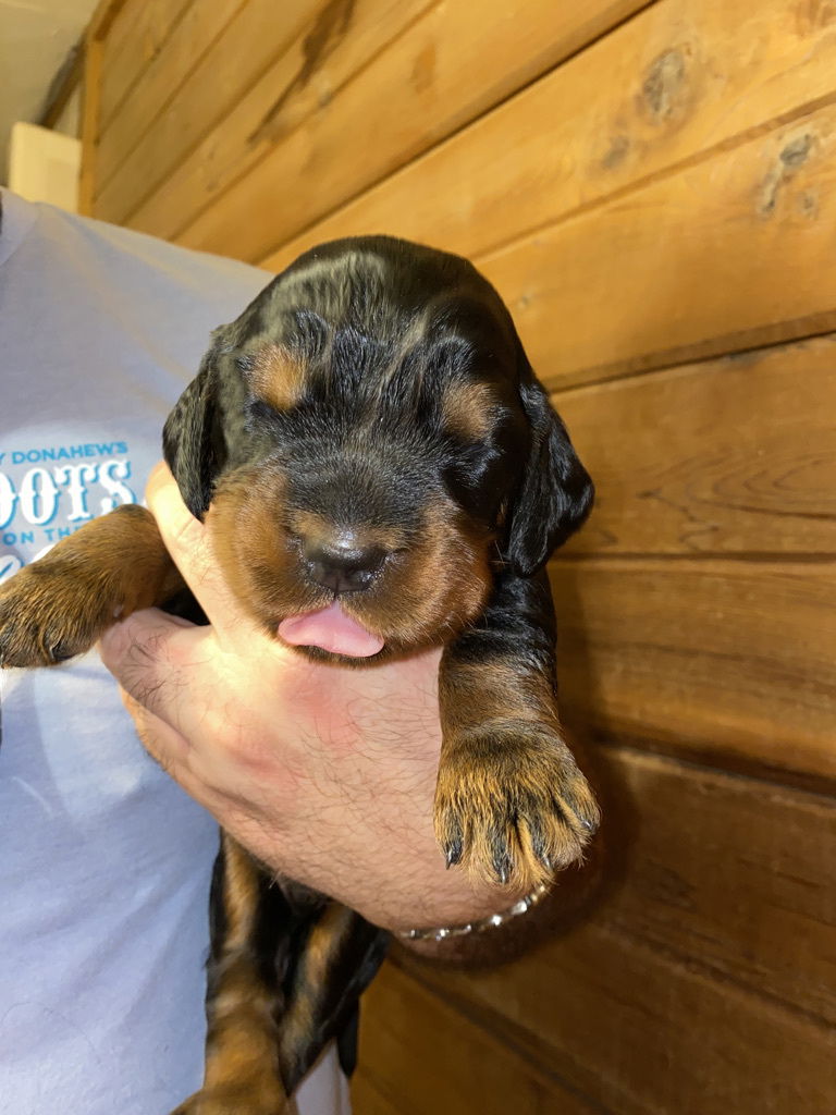 Week 2-3 on the move and getting playful