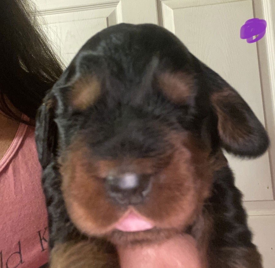 Week 2-3 on the move and getting playful