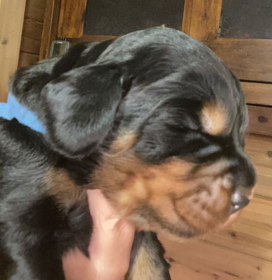 Week 2-3 on the move and getting playful