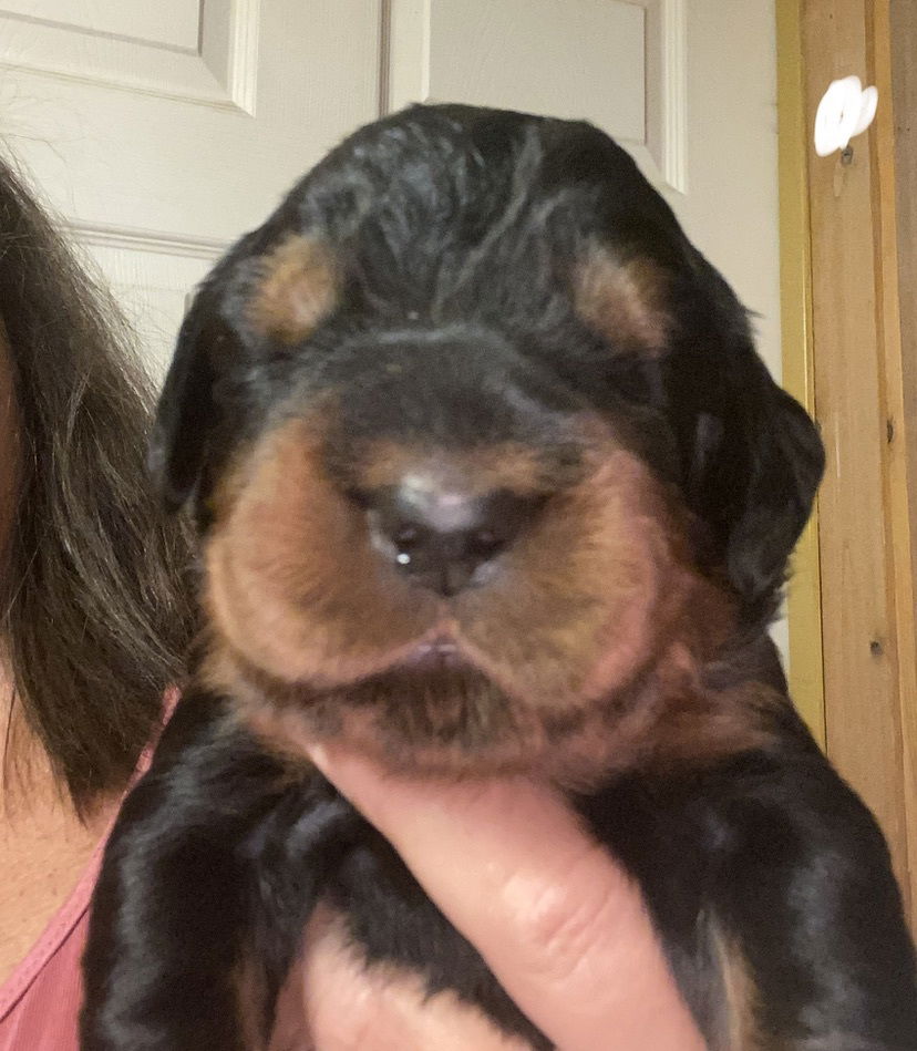 Week 2-3 on the move and getting playful