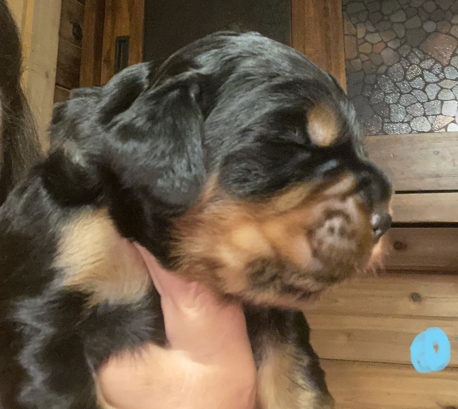 Week 2-3 on the move and getting playful