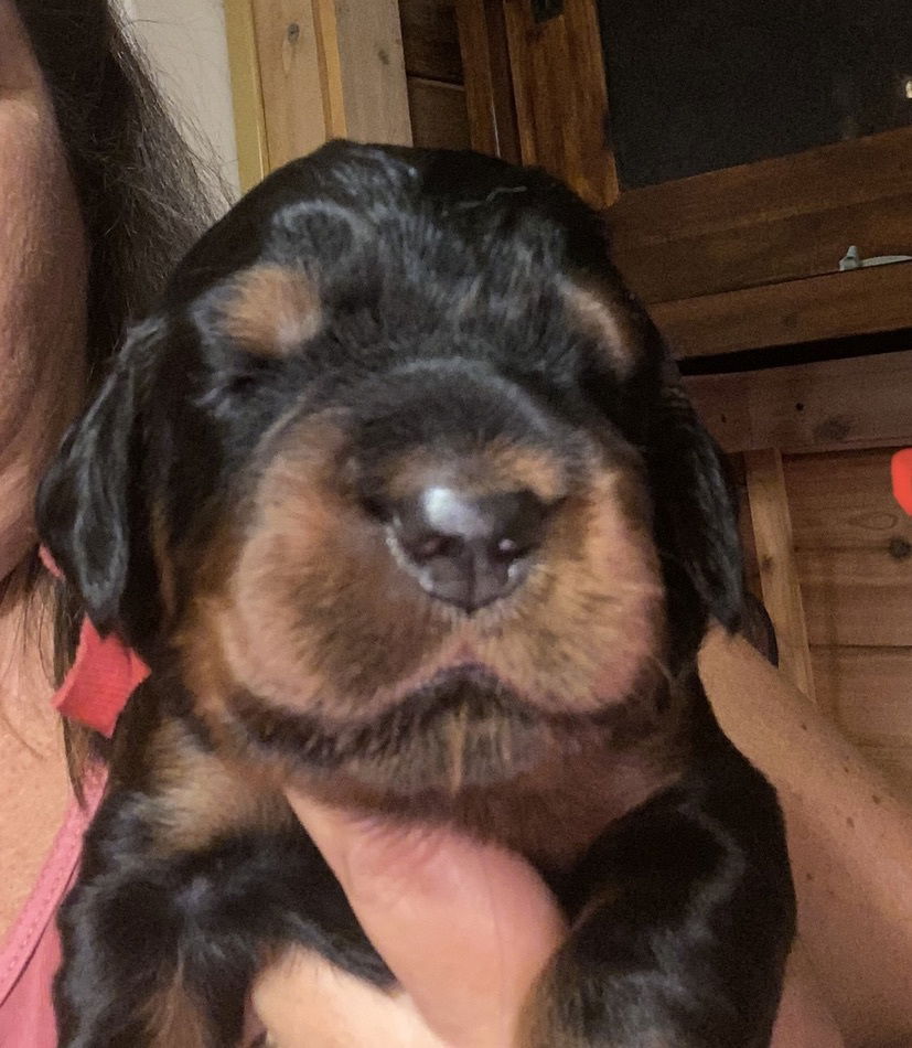 Week 2-3 on the move and getting playful