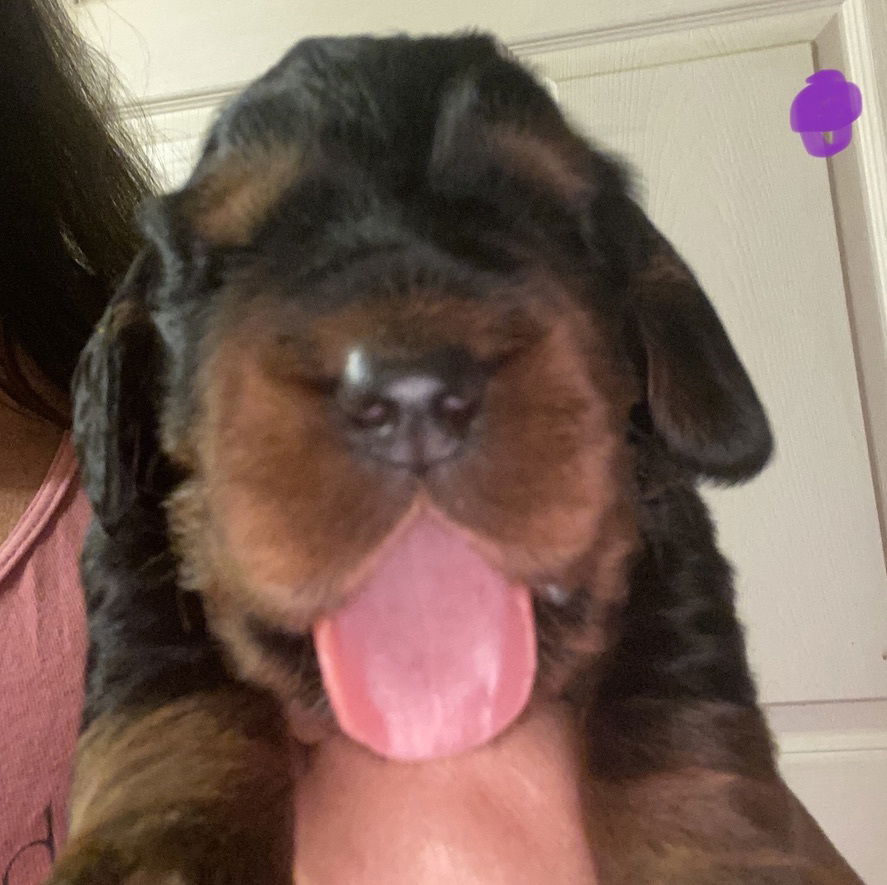 Week 2-3 on the move and getting playful