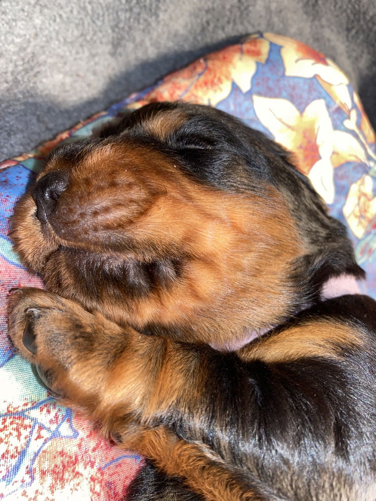 Week 2-3 on the move and getting playful