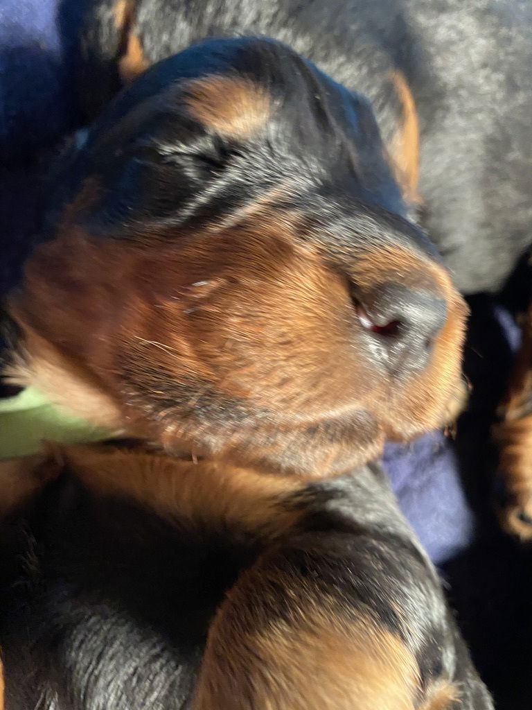 Week 2-3 on the move and getting playful