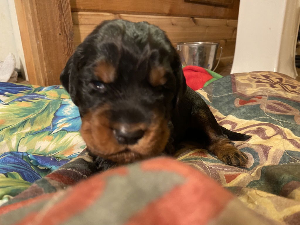 Week 2-3 on the move and getting playful