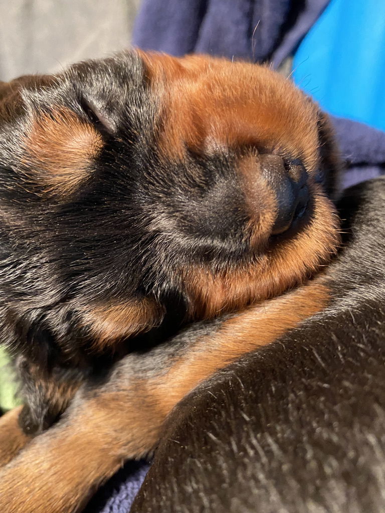 Week 2-3 on the move and getting playful