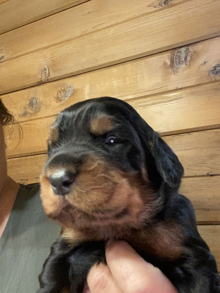 Week 2-3 on the move and getting playful