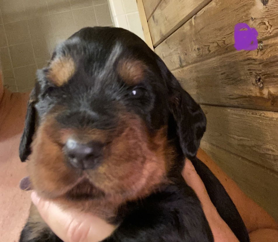 Week 2-3 on the move and getting playful