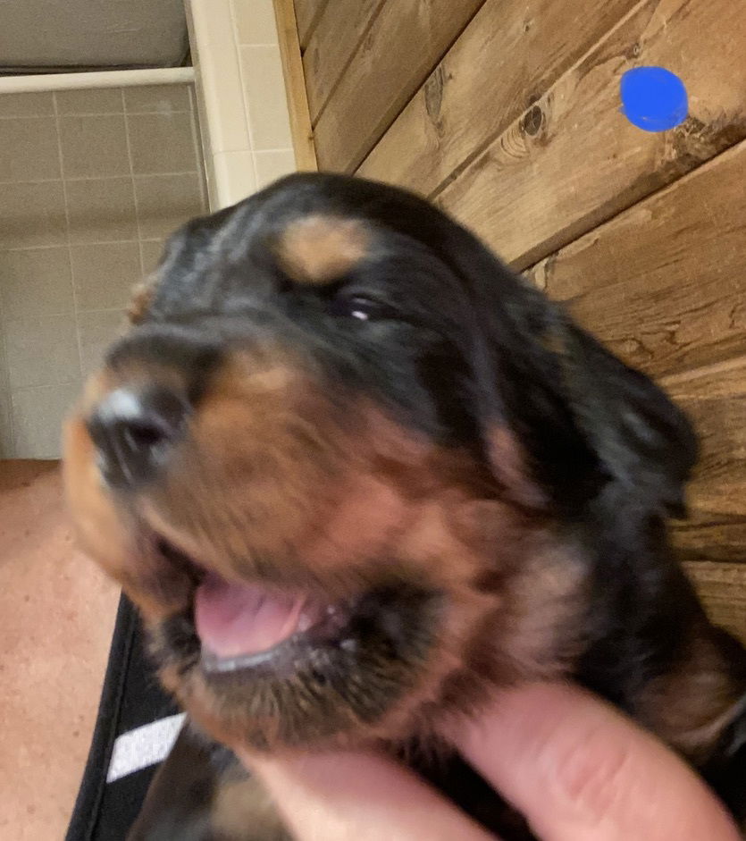 Week 2-3 on the move and getting playful