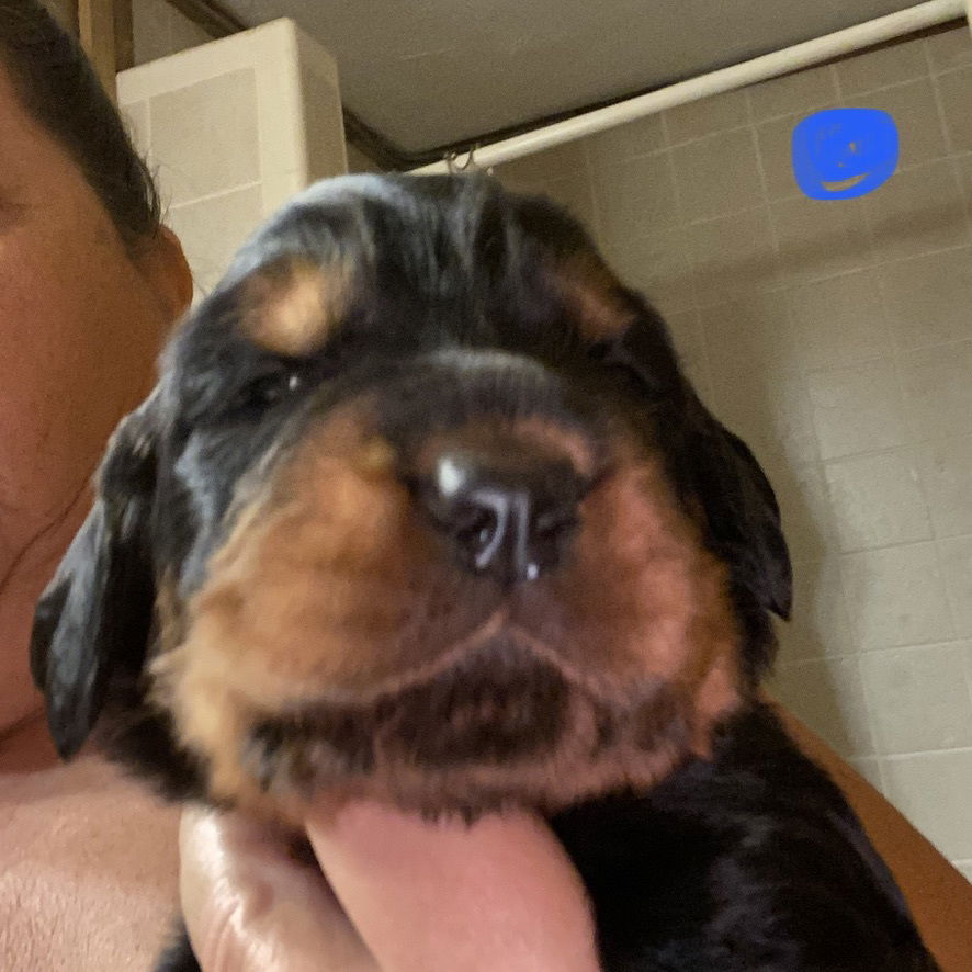 Week 2-3 on the move and getting playful