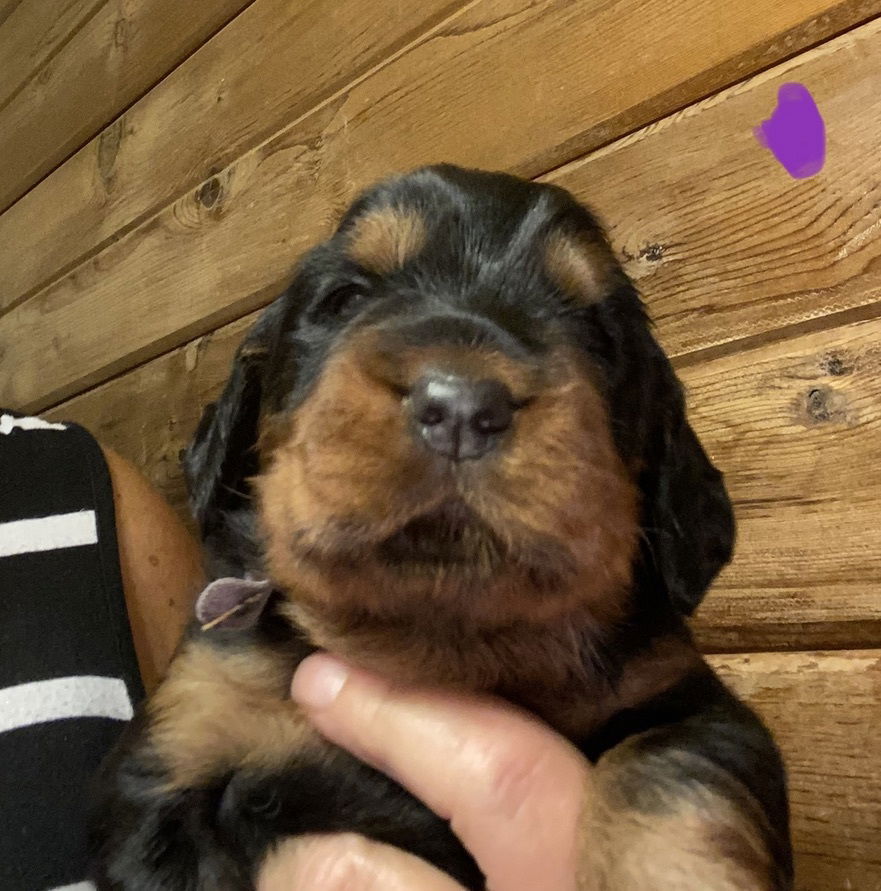 Week 2-3 on the move and getting playful