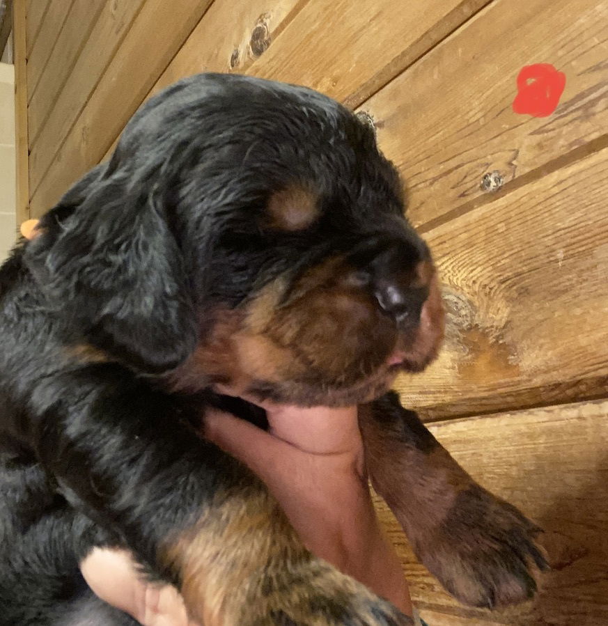 Week 2-3 on the move and getting playful