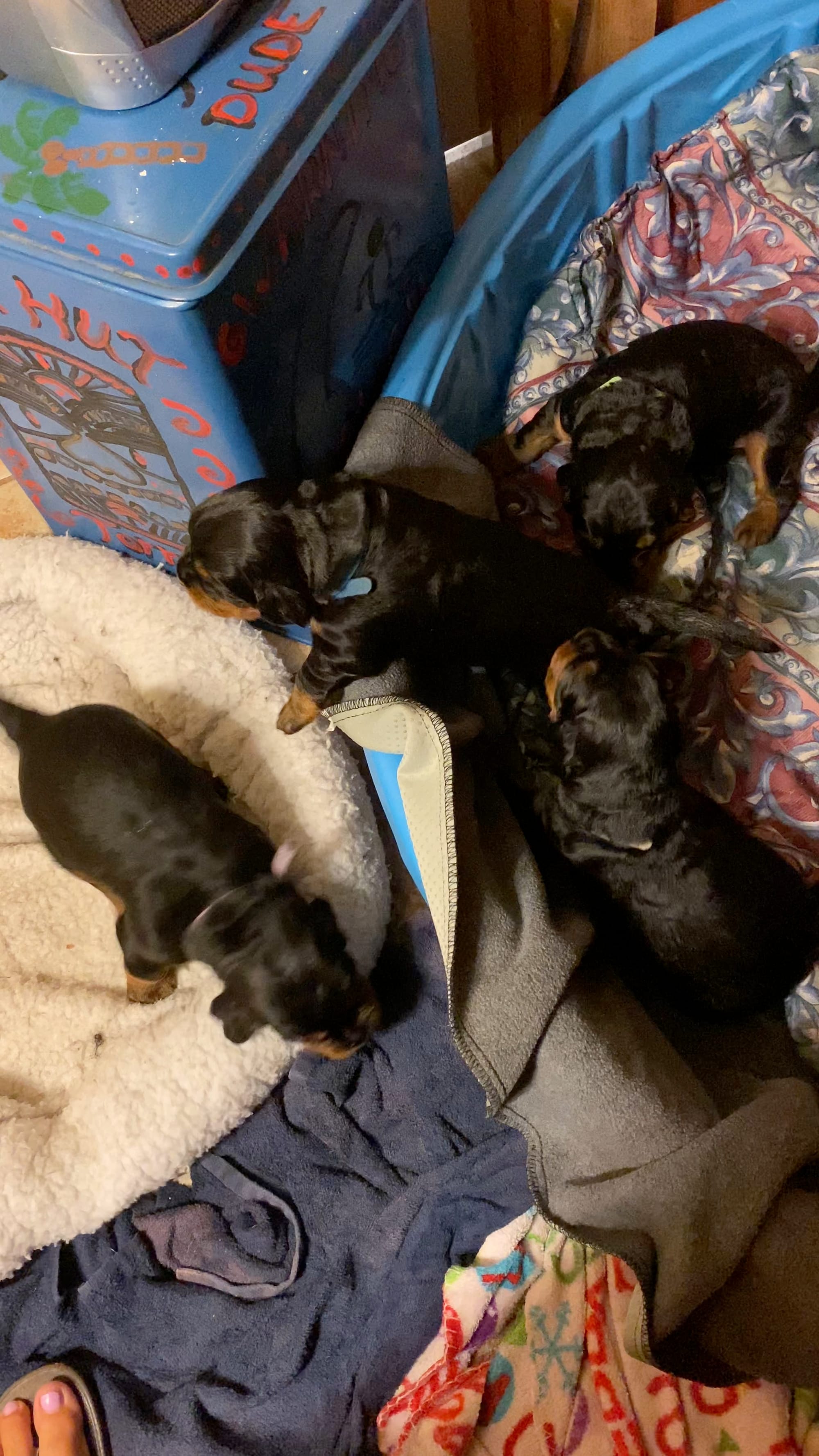 Week 2-3 on the move and getting playful