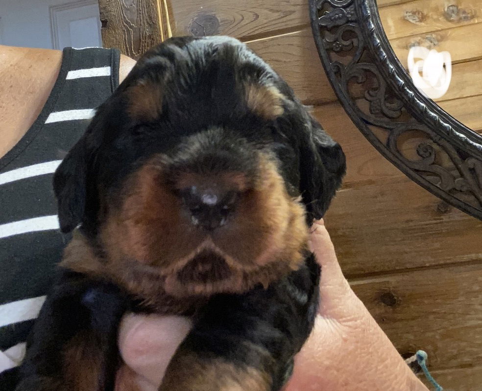 Week 2-3 on the move and getting playful